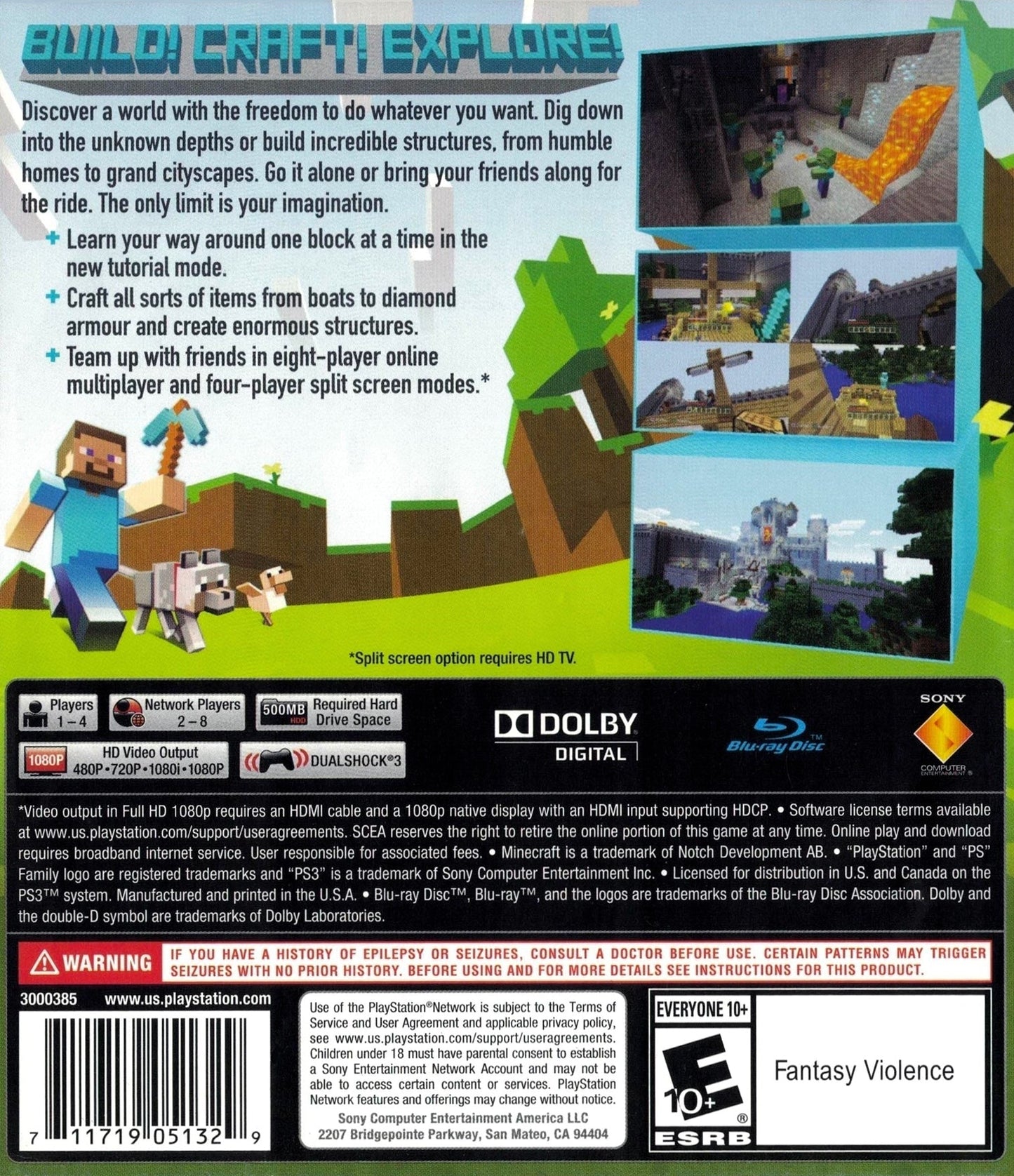 Minecraft Playstation 3